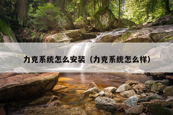 力克系统怎么安装(力克系统怎么样)