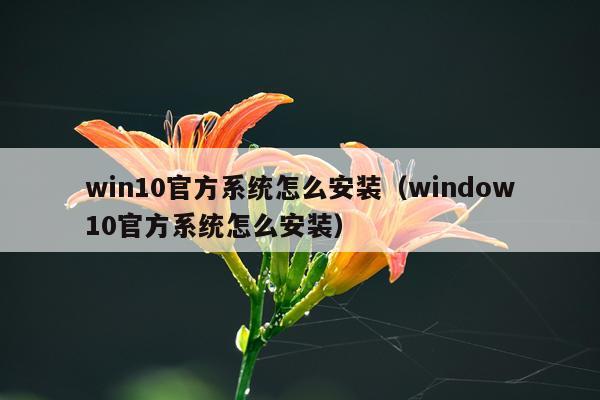 win10官方系统怎么安装(window10官方系统怎么安装)