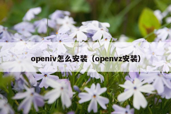 openiv怎么安装（openvz安装）