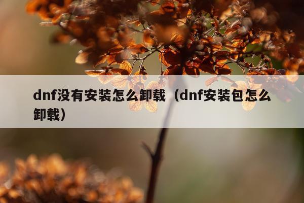 dnf没有安装怎么卸载(dnf安装包怎么卸载)