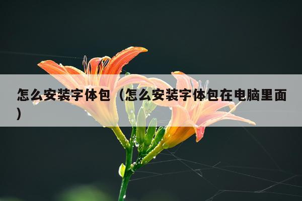 怎么安装字体包(怎么安装字体包在电脑里面)