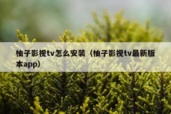 柚子影视tv怎么安装(柚子影视tv最新版本app)