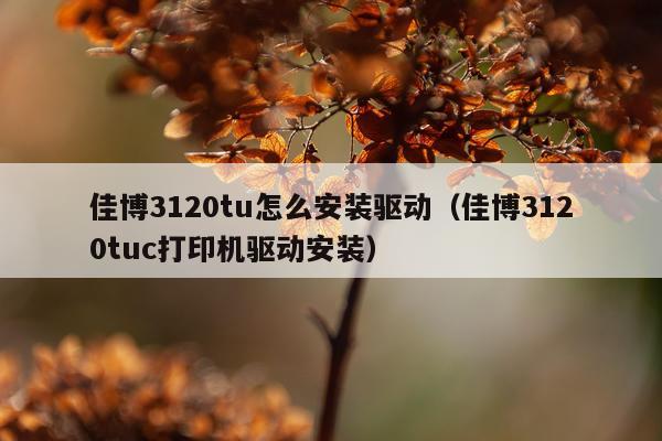 佳博3120tu怎么安装驱动(佳博3120tuc打印机驱动安装)