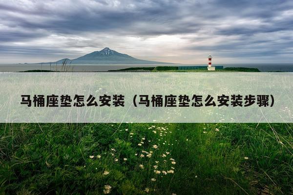 马桶座垫怎么安装(马桶座垫怎么安装步骤)