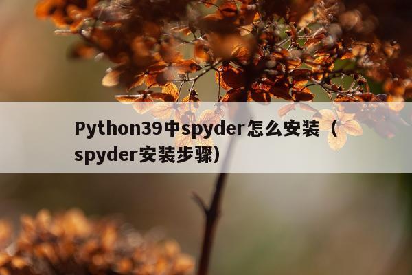 Python39中spyder怎么安装(spyder安装步骤)
