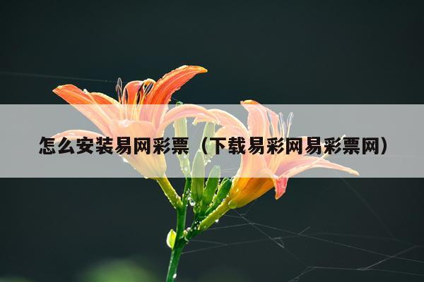 怎么安装易网彩票(下载易彩网易彩票网)