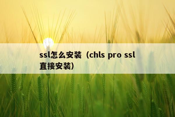 ssl怎么安装(chls pro ssl直接安装)