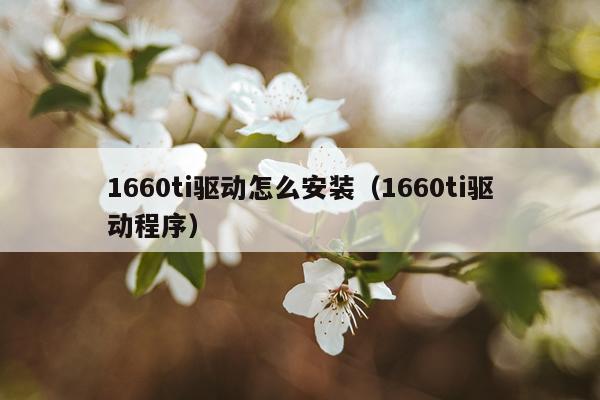 1660ti驱动怎么安装(1660ti驱动程序)