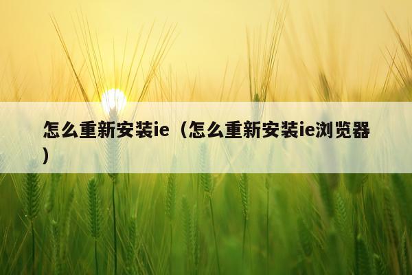 怎么重新安装ie(怎么重新安装ie浏览器)