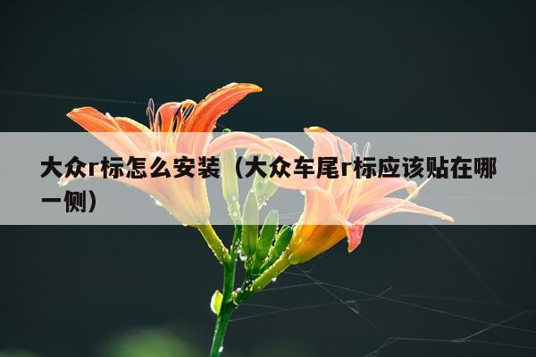 大众r标怎么安装(大众车尾r标应该贴在哪一侧)