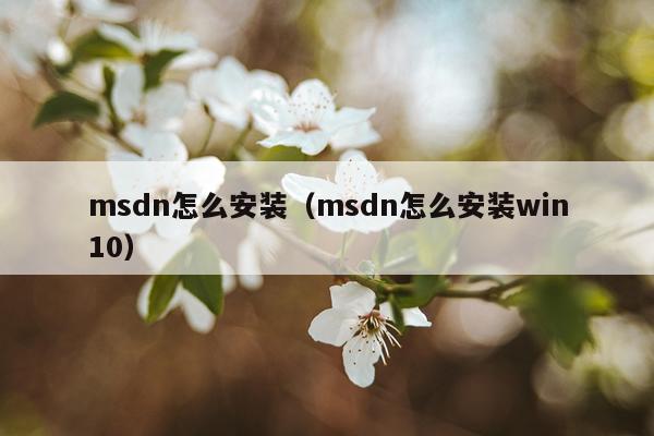 msdn怎么安装(msdn怎么安装win10)