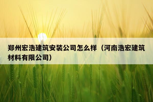 郑州宏浩建筑安装公司怎么样(河南浩宏建筑材料有限公司)