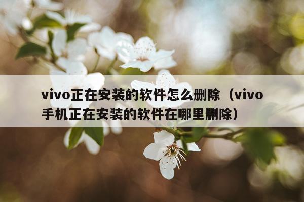 vivo正在安装的软件怎么删除（vivo手机正在安装的软件在哪里删除）