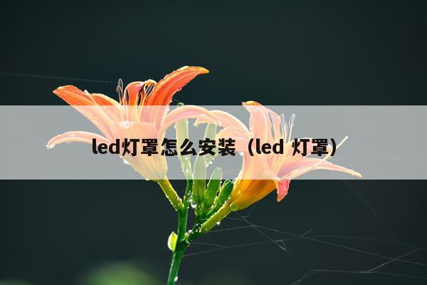 led灯罩怎么安装（led 灯罩）