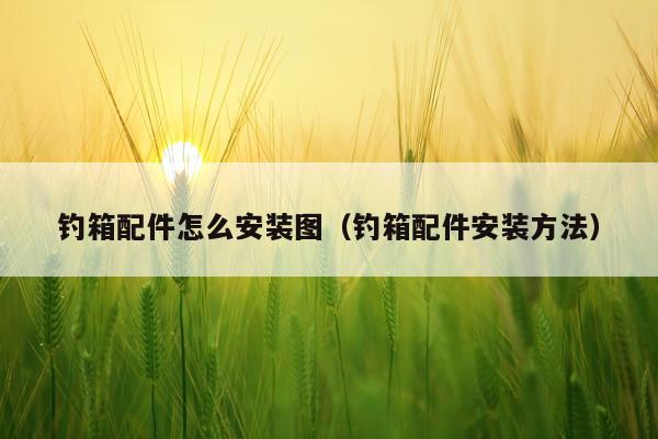 钓箱配件怎么安装图（钓箱配件安装方法）