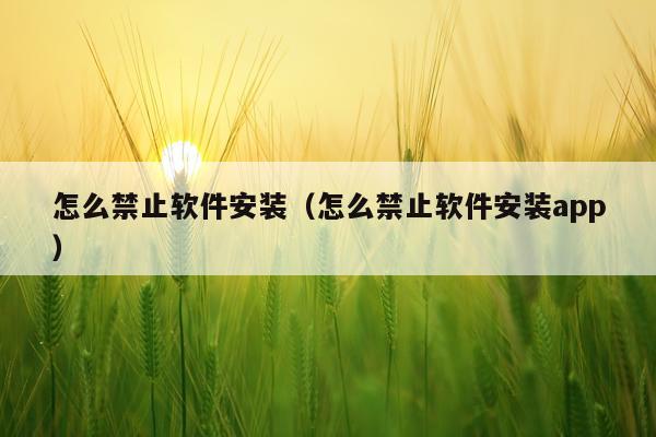 怎么禁止软件安装(怎么禁止软件安装app)