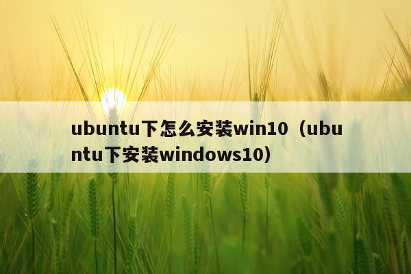 ubuntu下怎么安装win10(ubuntu下安装windows10)