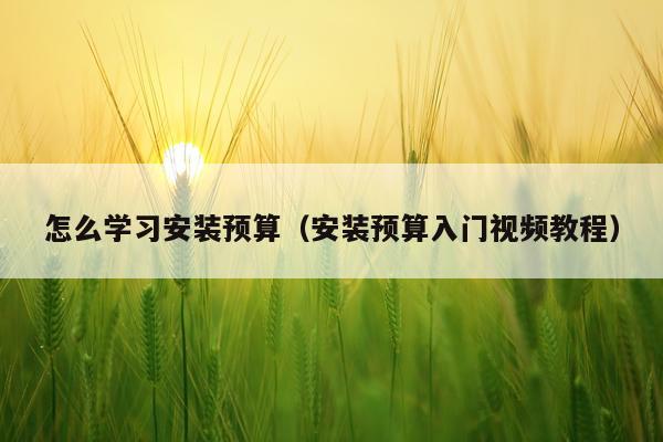 怎么学习安装预算(安装预算入门视频教程)