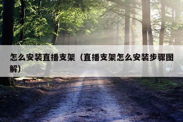 怎么安装直播支架(直播支架怎么安装步骤图解)