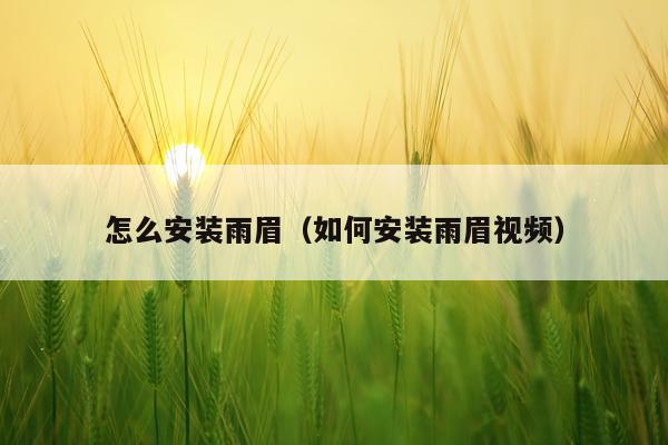 怎么安装雨眉(如何安装雨眉视频)