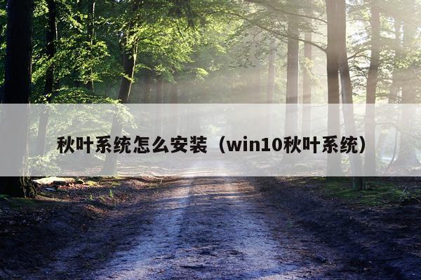 秋叶系统怎么安装(win10秋叶系统)