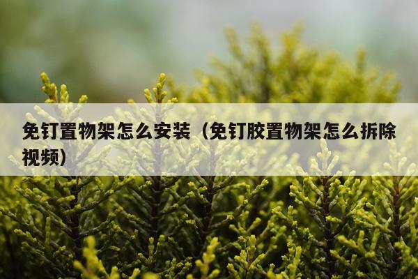 免钉置物架怎么安装(免钉胶置物架怎么拆除视频)