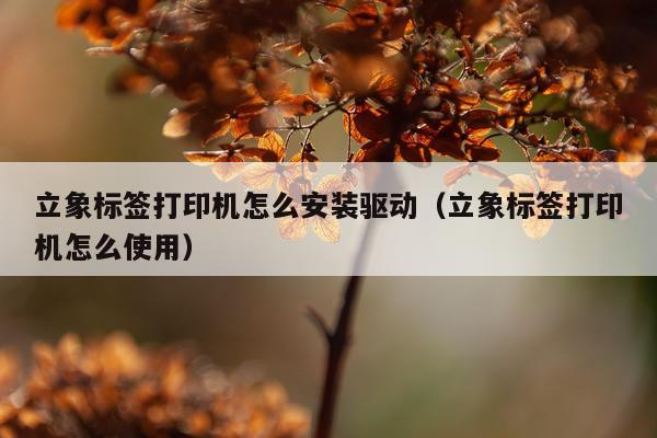 立象标签打印机怎么安装驱动(立象标签打印机怎么使用)