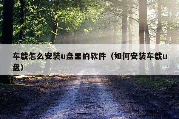 车载怎么安装u盘里的软件(如何安装车载u盘)