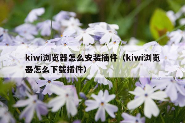 kiwi浏览器怎么安装插件(kiwi浏览器怎么下载插件)