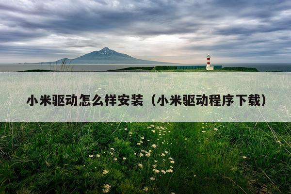 小米驱动怎么样安装(小米驱动程序下载)