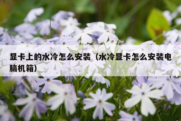 显卡上的水冷怎么安装(水冷显卡怎么安装电脑机箱)