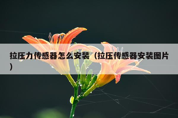 拉压力传感器怎么安装(拉压传感器安装图片)