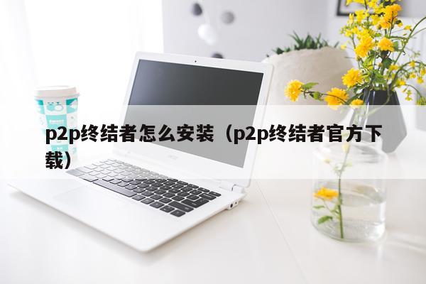 p2p终结者怎么安装(p2p终结者官方下载)
