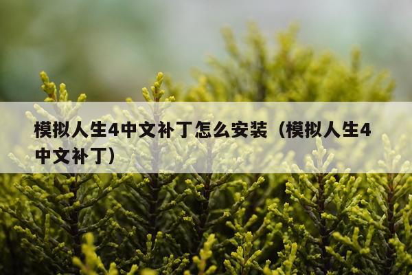 模拟人生4中文补丁怎么安装(模拟人生4 中文补丁)