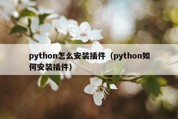 python怎么安装插件(python如何安装插件)