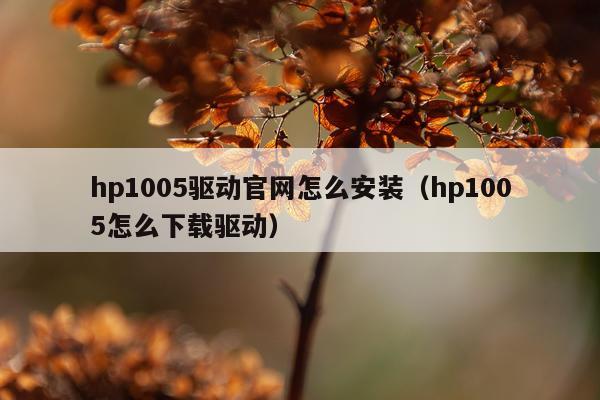 hp1005驱动官网怎么安装(hp1005怎么下载驱动)