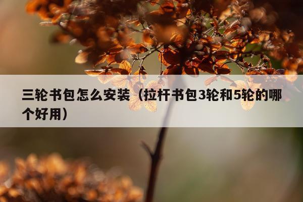 三轮书包怎么安装(拉杆书包3轮和5轮的哪个好用)