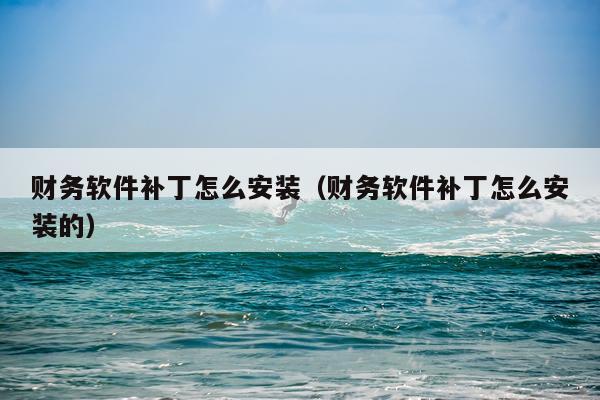 财务软件补丁怎么安装(财务软件补丁怎么安装的)