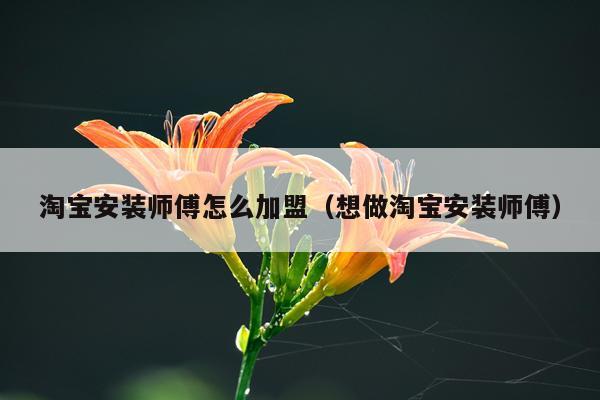 淘宝安装师傅怎么加盟(想做淘宝安装师傅)