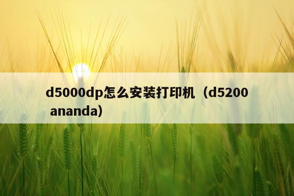 d5000dp怎么安装打印机(d5200 ananda)