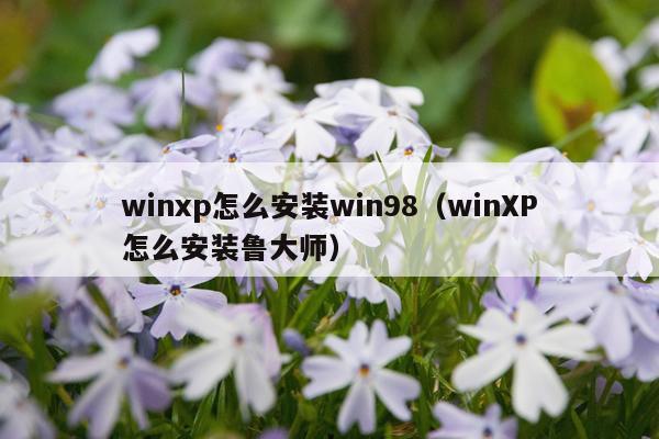 winxp怎么安装win98(winXP怎么安装鲁大师)