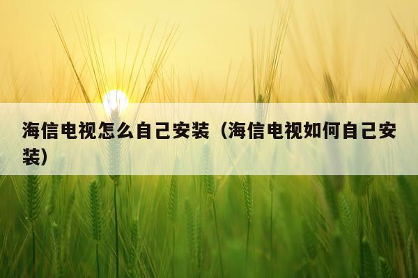 海信电视怎么自己安装(海信电视如何自己安装)
