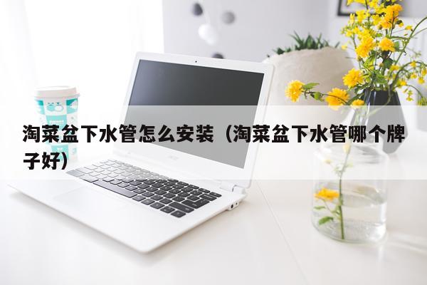 淘菜盆下水管怎么安装(淘菜盆下水管哪个牌子好)