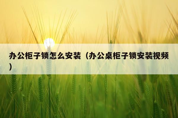 办公柜子锁怎么安装(办公桌柜子锁安装视频)
