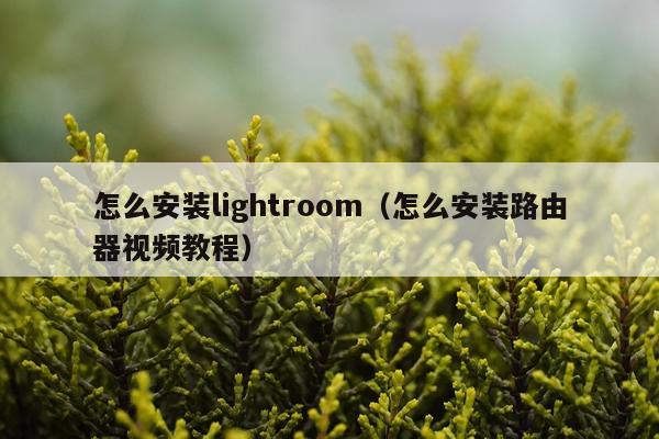 怎么安装lightroom(怎么安装路由器视频教程)