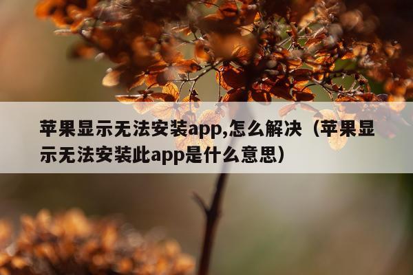 苹果显示无法安装app,怎么解决(苹果显示无法安装此app是什么意思)
