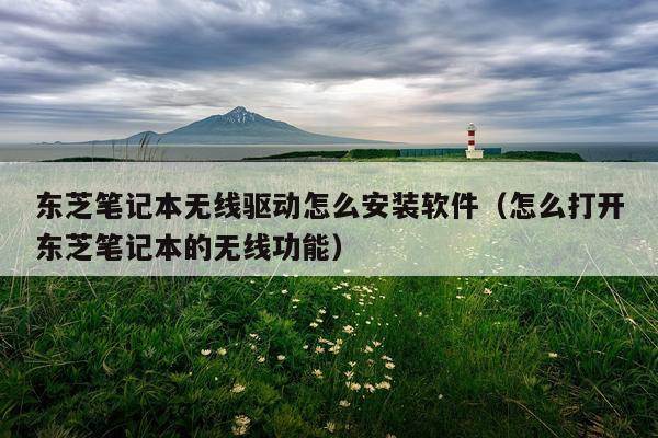 东芝笔记本无线驱动怎么安装软件(怎么打开东芝笔记本的无线功能)