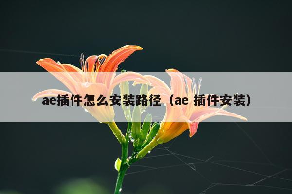 ae插件怎么安装路径(ae 插件安装)
