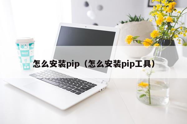 怎么安装pip(怎么安装pip工具)