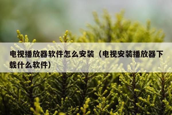 电视播放器软件怎么安装(电视安装播放器下载什么软件)
